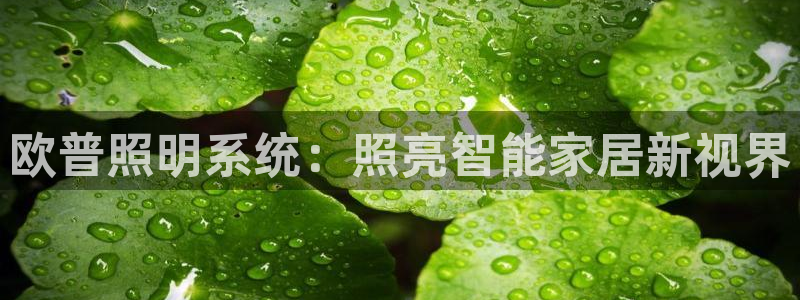 千亿国际唯一手机官网：欧普照明系统：照亮智能家居新视界