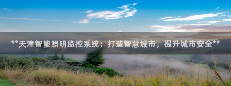 千亿国际手机新版app:**天津智能照明监控系统:打造智慧城市,提升城市安全**