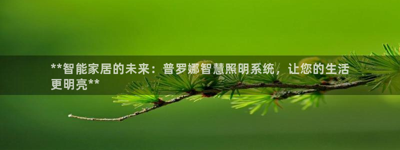 千亿国际集团招聘:**智能家居的未来:普罗娜智慧照明系统,让您的生活
更明亮**
