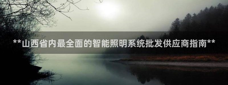千亿国际集团怎么样啊:**山西省内最全面的智能照明系统批发供应商指南**