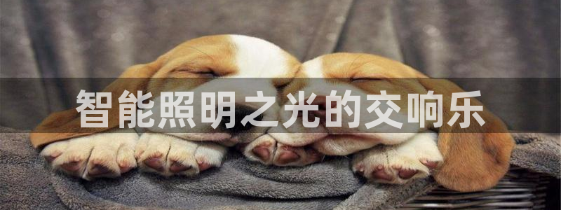 千亿国际登陆：智能照明之光的交响乐