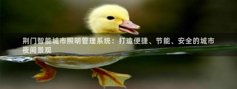千亿国际中国官方:荆门智能城市照明管理系统:打造便捷、节能、安全的城市
夜间景观
