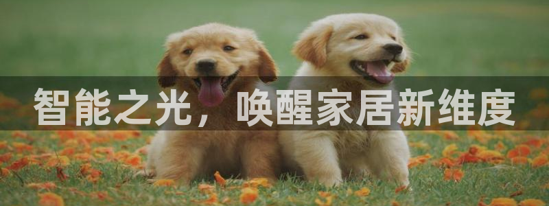 千亿国际唯一平台是什么：智能之光，唤醒家居新维度
