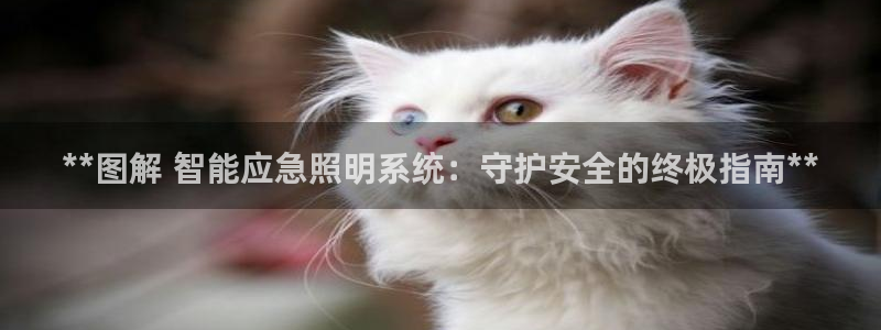 千亿国际平台是真是假呀:**图解 智能应急照明系统:守护安全的终极指南**