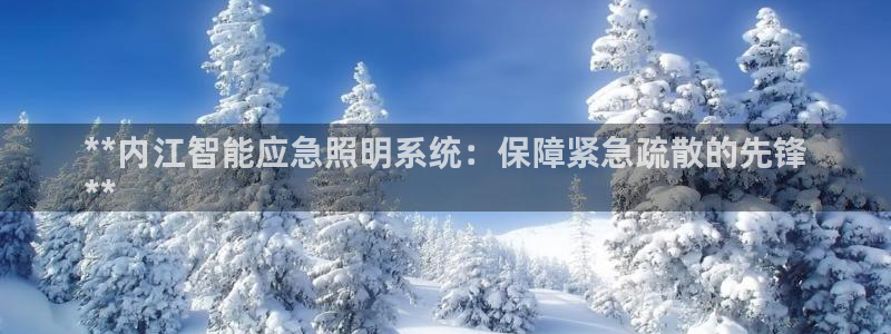 千亿国际诈骗：**内江智能应急照明系统：保障紧急疏散的先锋
**