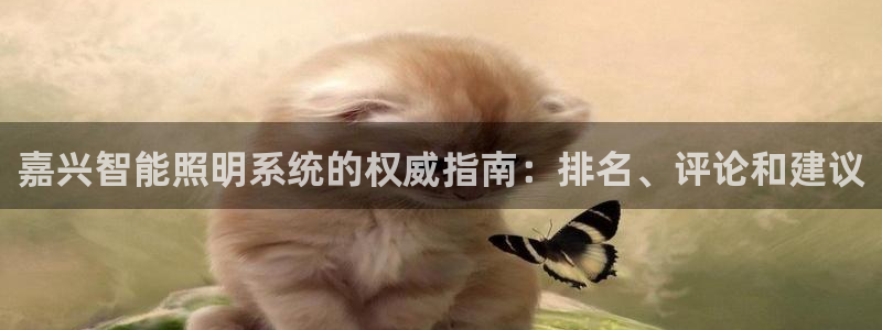 千亿国际手机官网：嘉兴智能照明系统的权威指南：排名、评论和建议