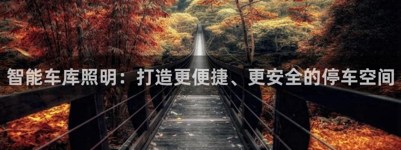 千亿国际平台怎么样可靠吗：智能车库照明：打造更便捷、更安全的停车空间