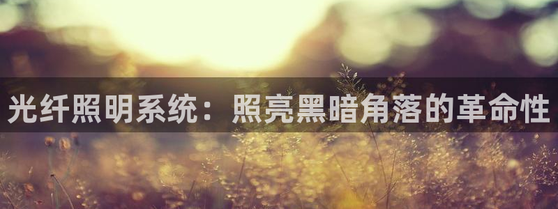 千亿国际希沃赋能教育:光纤照明系统:照亮黑暗角落的革命性