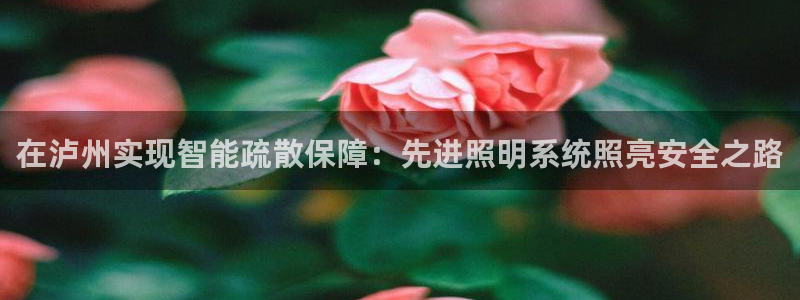 千亿国际服：在泸州实现智能疏散保障：先进照明系统照亮安全之路