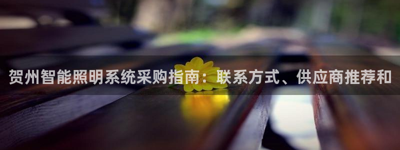千亿国际手机版app下载安装:贺州智能照明系统采购指南:联系方式、供应商推荐和