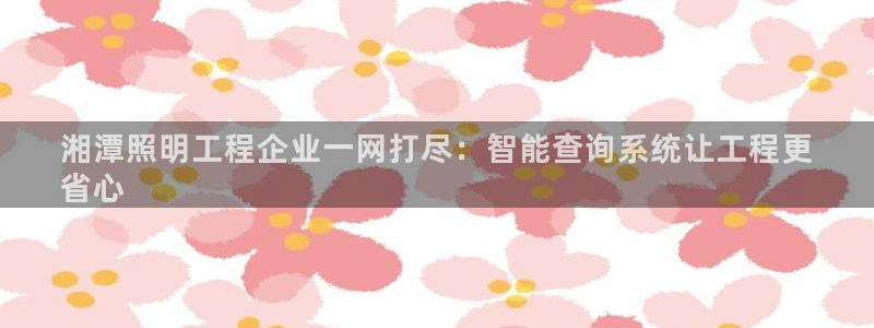 千亿国际平台是什么:湘潭照明工程企业一网打尽:智能查询系统让工程更
省心