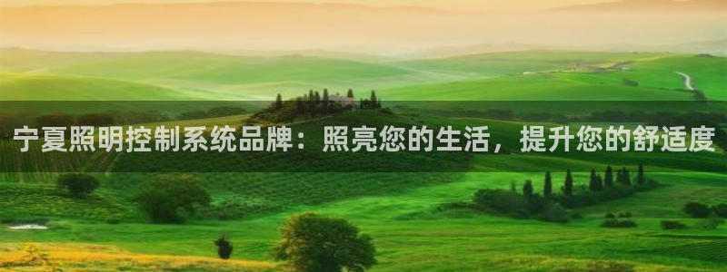 千亿国际qy18vip:宁夏照明控制系统品牌:照亮您的生活,提升您的舒适度