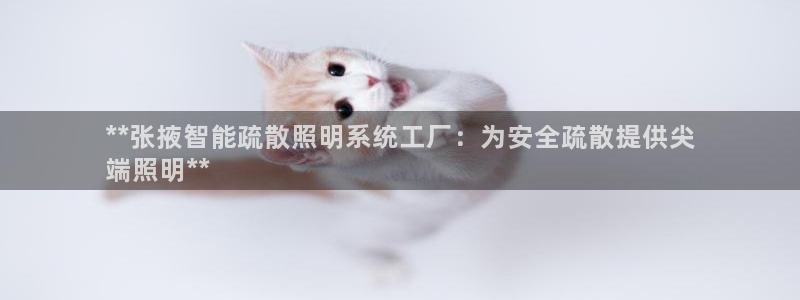 千亿国际手机网页登录:**张掖智能疏散照明系统工厂:为安全疏散提供尖
端照明**