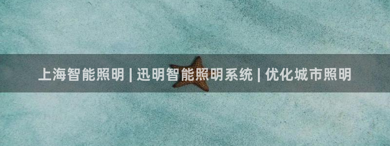 千亿国际唯一平台是什么:上海智能照明 | 迅明智能照明系统 | 优化城市照明