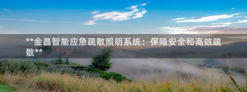 千亿国际qy88vip下载:**金昌智能应急疏散照明系统:保障安全和高效疏
散**