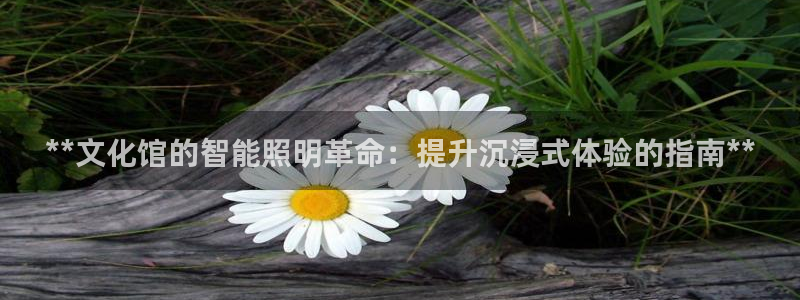千亿国际官网：**文化馆的智能照明革命：提升沉浸式体验的指南**