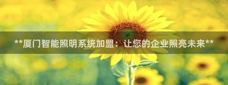 千亿国际qy88:**厦门智能照明系统加盟:让您的企业照亮未来**