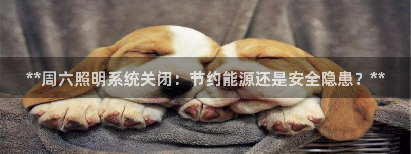 千亿国际手机官网下载:**周六照明系统关闭:节约能源还是安全隐患?**
