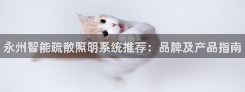 千亿国际手机登录网站:永州智能疏散照明系统推荐:品牌及产品指南