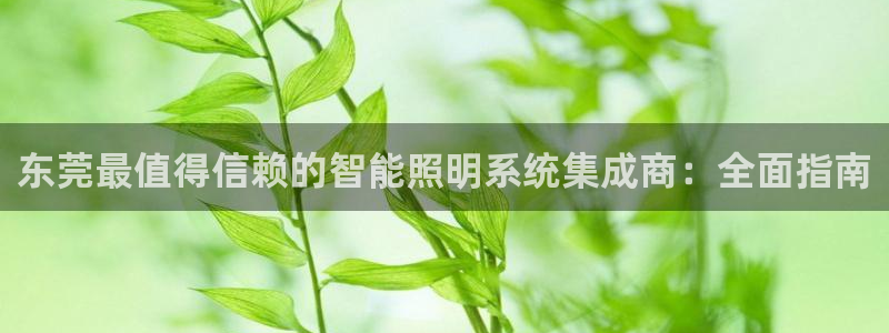 千亿国际网页版:东莞最值得信赖的智能照明系统集成商:全面指南