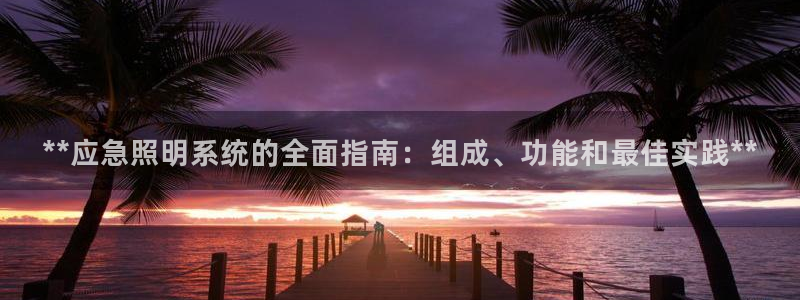 千亿国际游戏:**应急照明系统的全面指南:组成、功能和最佳实践**