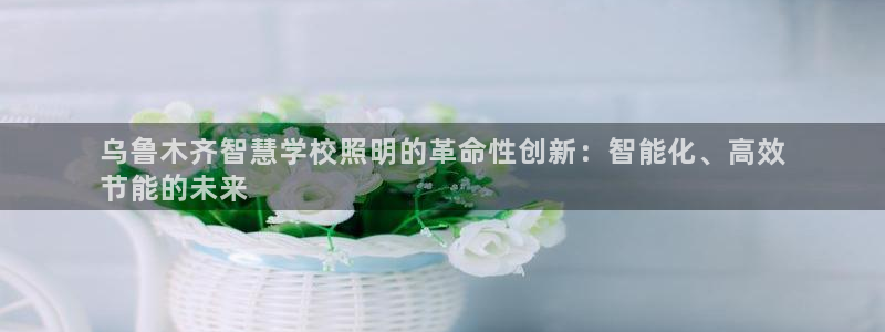 千亿国际pt游戏官网:乌鲁木齐智慧学校照明的革命性创新:智能化、高效
节能的未来