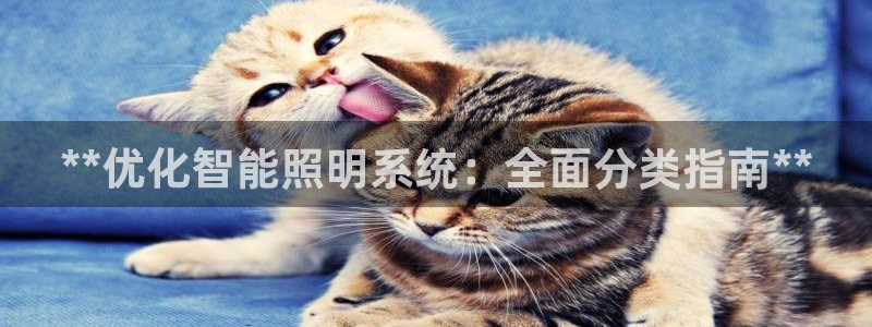 千亿国际董事长是谁啊:**优化智能照明系统:全面分类指南**