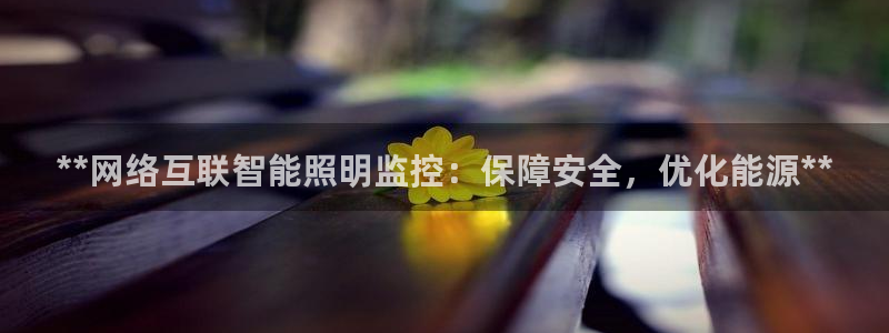 千亿国际平台是真是假:**网络互联智能照明监控:保障安全,优化能源**