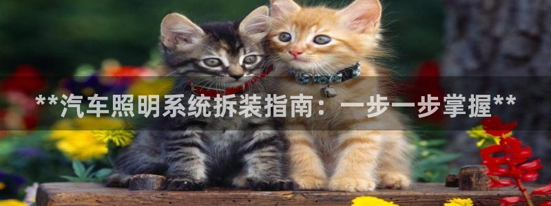 千亿国际电子游戏：**汽车照明系统拆装指南：一步一步掌握**
