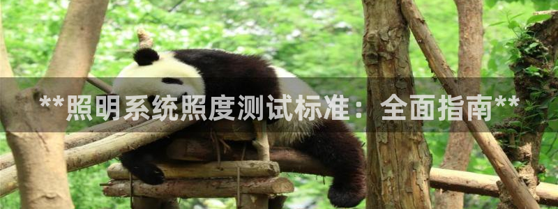千亿国际淏玉化妆品：**照明系统照度测试标准：全面指南**
