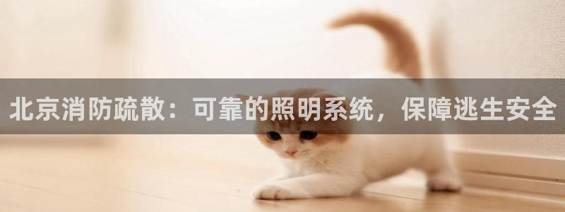千亿国际下载：北京消防疏散：可靠的照明系统，保障逃生安全