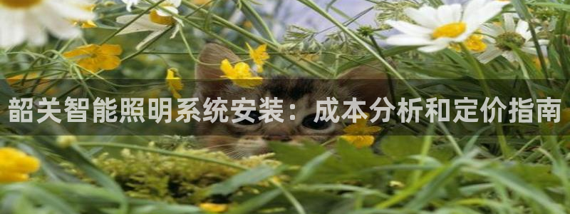 千亿国际的游戏怎么样赚钱:韶关智能照明系统安装:成本分析和定价指南