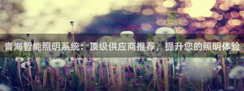 千亿国际提款有没有问题啊:青海智能照明系统:顶级供应商推荐,提升您的照明体验