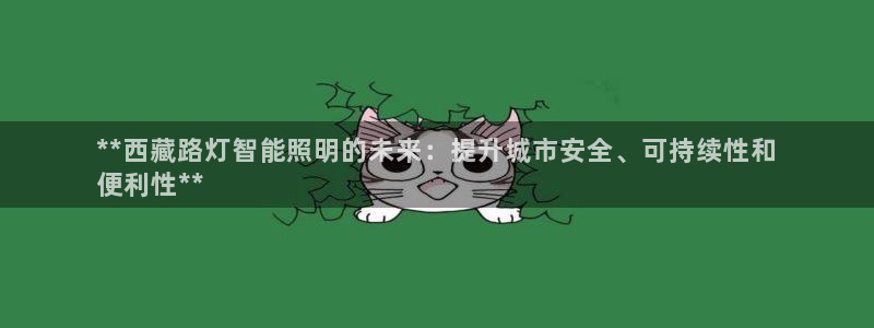千亿国际手机版yb34、cn:**西藏路灯智能照明的未来:提升城市安全、可持续性和
便利性**
