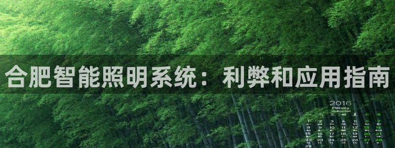千亿国际手机版app下载:合肥智能照明系统:利弊和应用指南