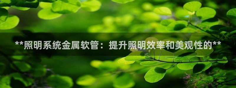 千亿国际手机登录版:**照明系统金属软管:提升照明效率和美观性的**