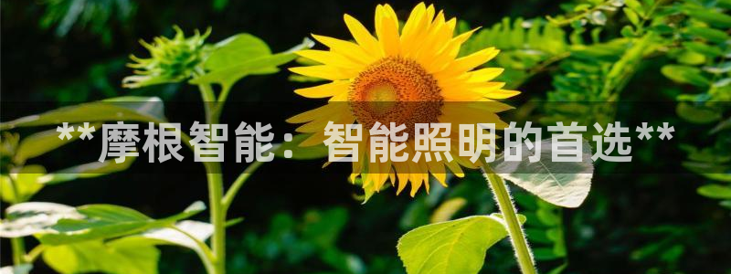 千亿国际游戏：**摩根智能：智能照明的首选**
