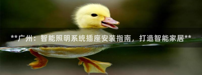 千亿国际手机官网:**广州:智能照明系统插座安装指南,打造智能家居**