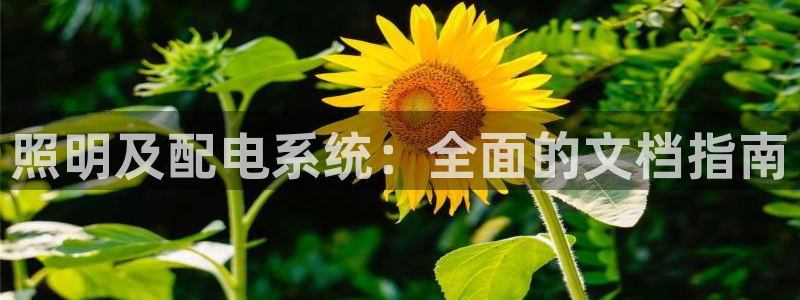 千亿国际qy886:照明及配电系统:全面的文档指南