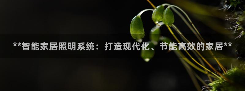 千亿国际平台是什么意思啊:**智能家居照明系统:打造现代化、节能高效的家居**