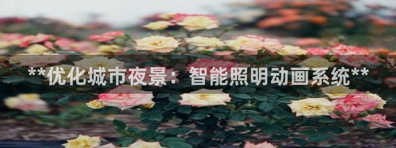 千亿国际pt：**优化城市夜景：智能照明动画系统**