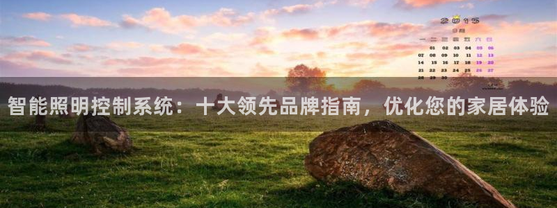 千亿国际芯片怎么样：智能照明控制系统：十大领先品牌指南，优化您的家居体验