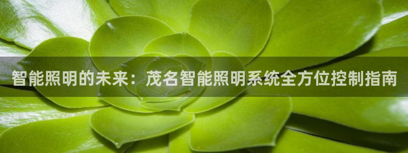 千亿国际平台是真是假呀:智能照明的未来:茂名智能照明系统全方位控制指南