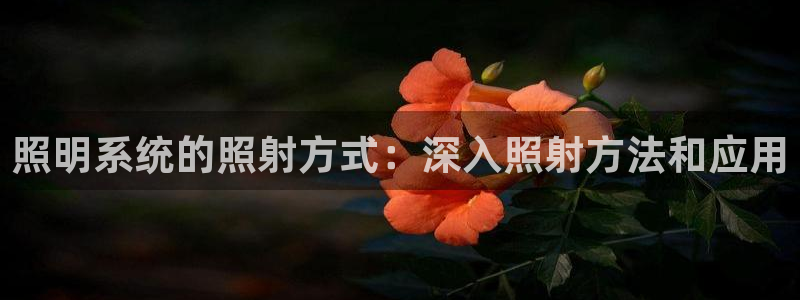 qy886千亿国际下载:照明系统的照射方式:深入照射方法和应用