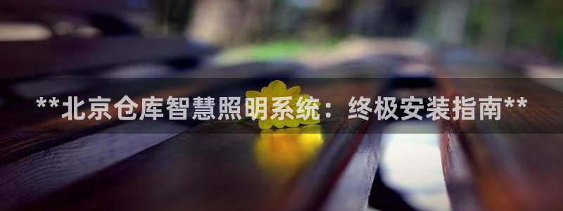 千亿国际下载：**北京仓库智慧照明系统：终极安装指南**