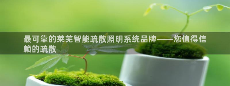 千亿国际内蒙圣懿团队成员名单：最可靠的莱芜智能疏散照明系统品牌——您值得信
赖的疏散