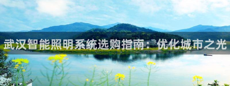 千亿国际的游戏怎么样:武汉智能照明系统选购指南:优化城市之光