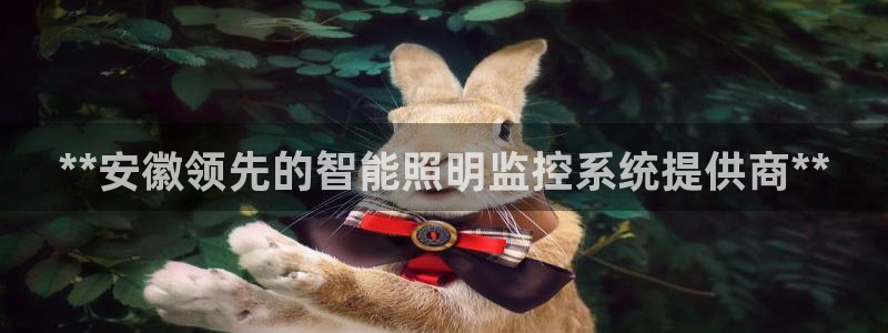 千亿国际pt游戏有哪些:**安徽领先的智能照明监控系统提供商**