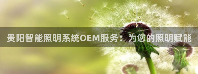千亿国际集团怎么样知乎:贵阳智能照明系统OEM服务:为您的照明赋能