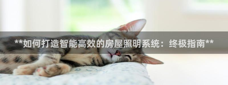 千亿国际黑吗:**如何打造智能高效的房屋照明系统:终极指南**